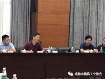 成都市模協楊華軍秘書長發言 成都市模協楊華軍秘書長發言