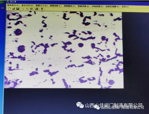 電子顯微鏡下蠕墨鑄鐵組織 電子顯微鏡下蠕墨鑄鐵組織