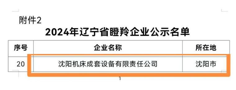 沈陽機床股份有限公司成套設備獲評2024年遼寧省瞪羚企業稱號 沈陽機床股份有限公司成套設備獲評2024年遼寧省瞪羚企業稱號