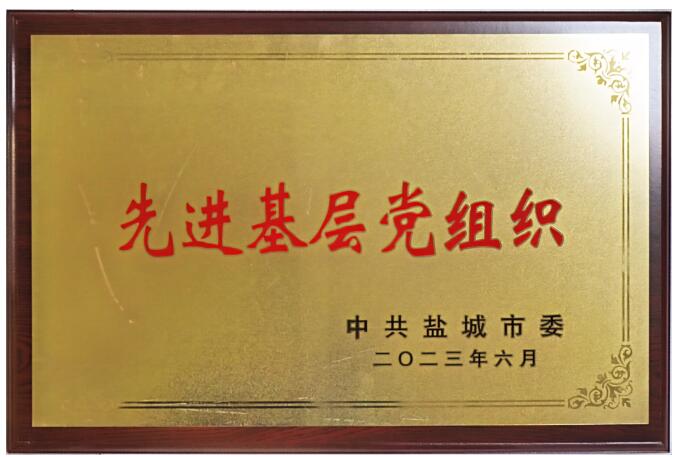 江蘇蘇鹽閥門集團黨委獲批:開啟黨建引領新征程 江蘇蘇鹽閥門集團黨委獲批:開啟黨建引領新征程