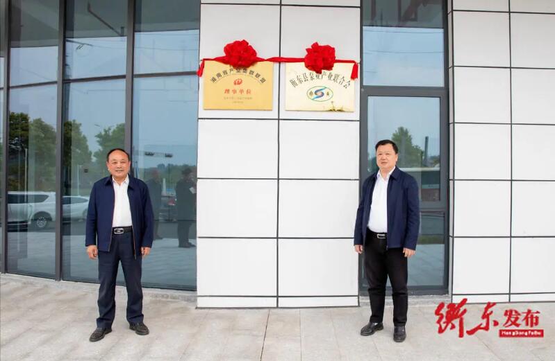 圖:譚建華為衡東泵業產業集群揭牌 圖:譚建華為衡東泵業產業集群揭牌