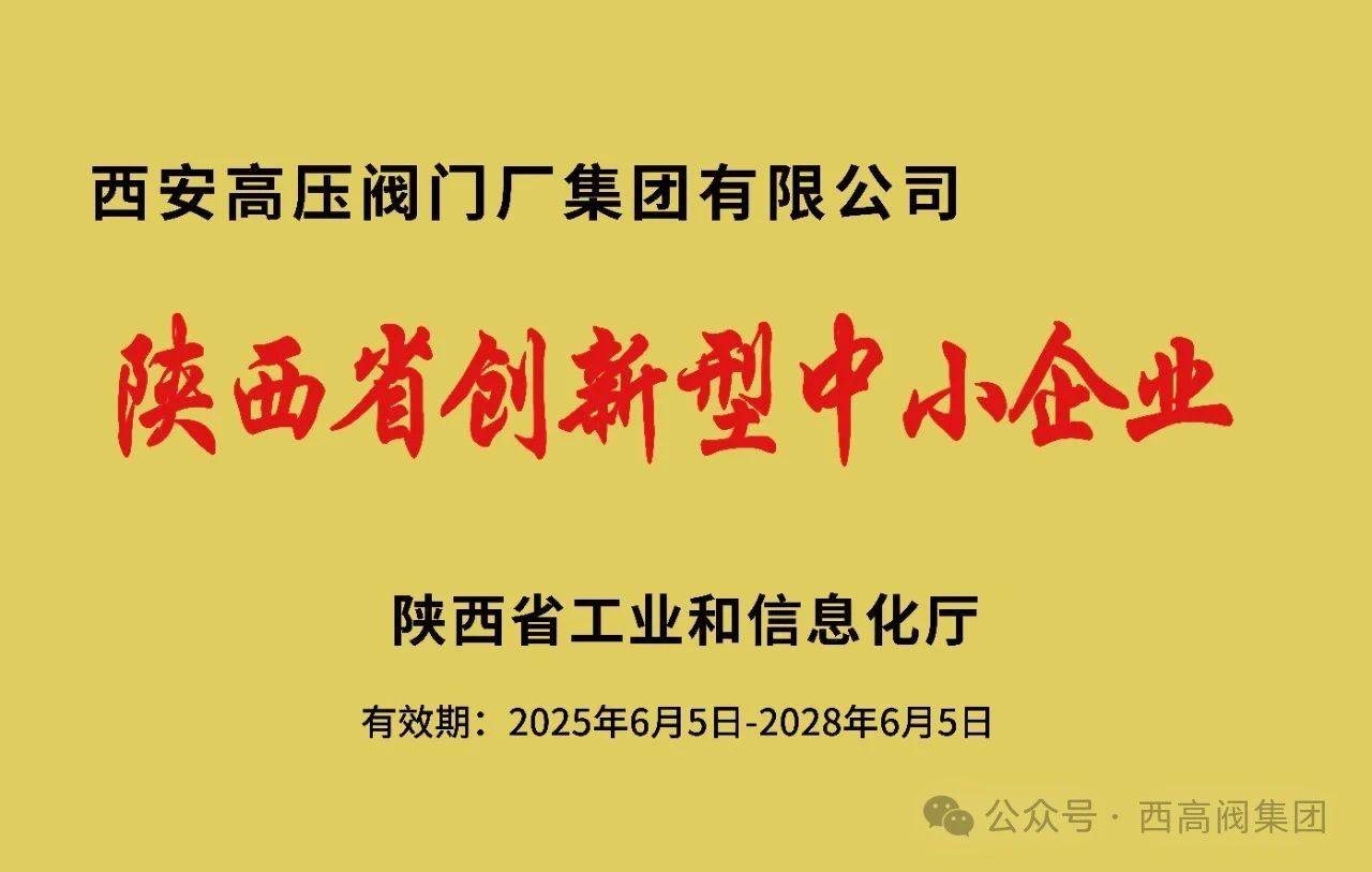 西高閥集團榮獲2025年陜西省“創新型中小企業”稱號 西高閥集團榮獲2025年陜西省“創新型中小企業”稱號