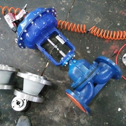 ո ӱĤ´ɸĤy G641C  DN50